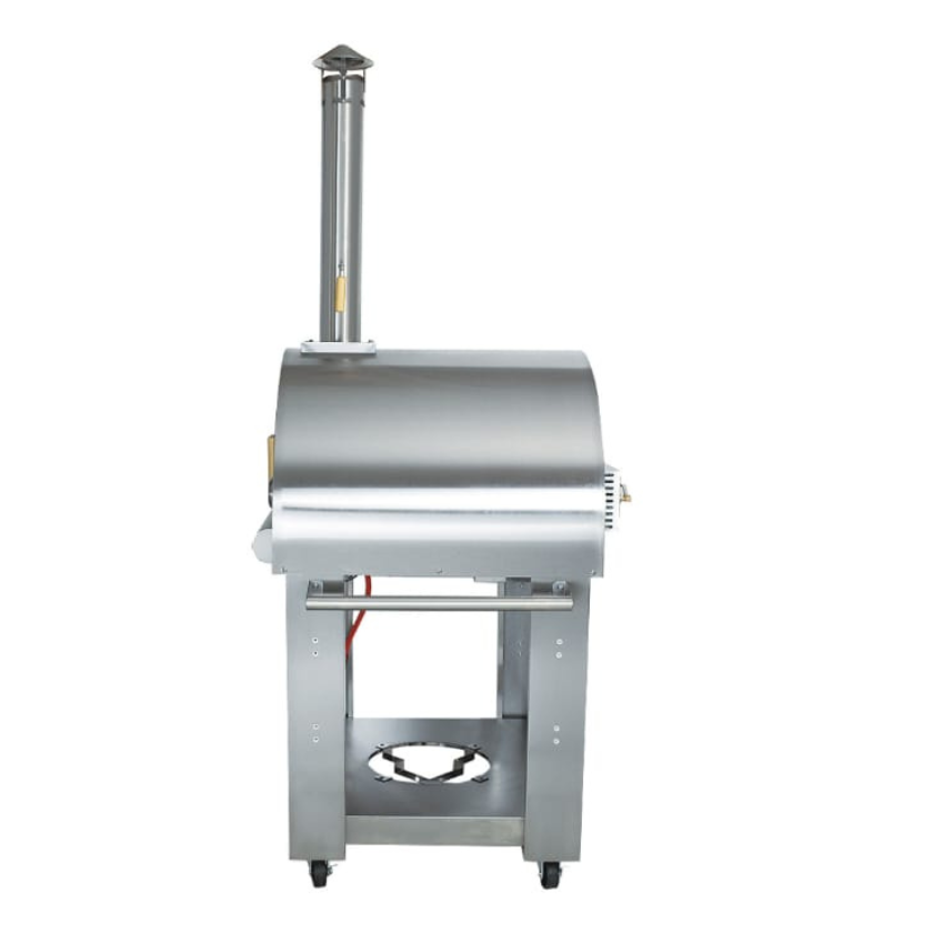 Four professionnel convertible Bois/Gaz